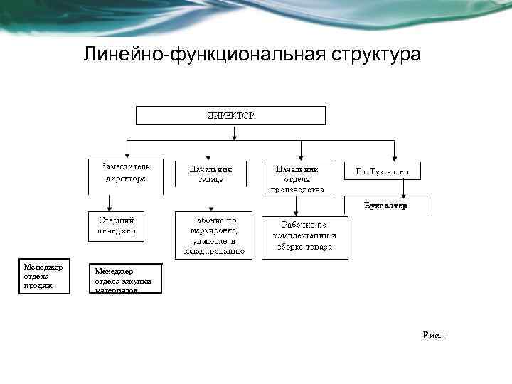 Структура агентства недвижимости схема