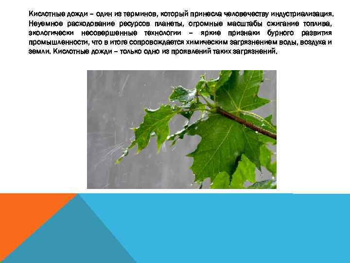 Кислотные дожди – один из терминов, который принесла человечеству индустриализация. Неуемное расходование ресурсов планеты,
