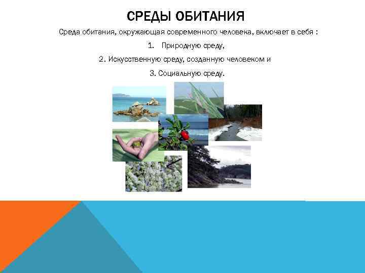 СРЕДЫ ОБИТАНИЯ Среда обитания, окружающая современного человека, включает в себя : 1. Природную среду,