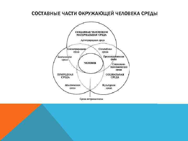 СОСТАВНЫЕ ЧАСТИ ОКРУЖАЮЩЕЙ ЧЕЛОВЕКА СРЕДЫ 