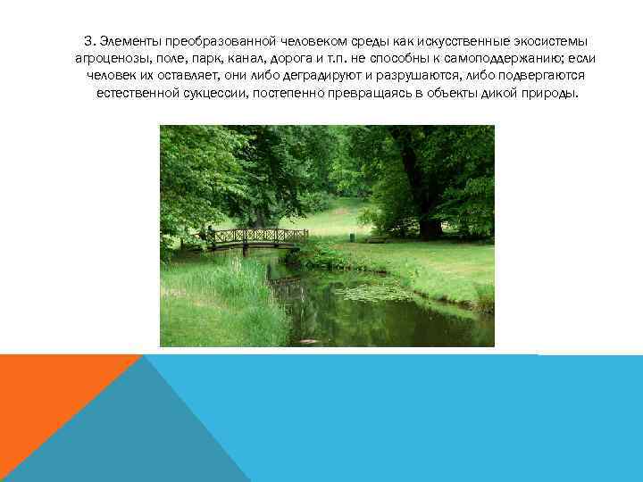 3. Элементы преобразованной человеком среды как искусственные экосистемы агроценозы, поле, парк, канал, дорога и