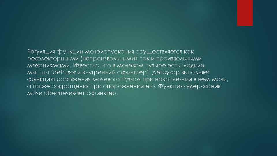 Регуляция функции мочеиспускания осуществляется как рефлекторны ми (непроизвольными), так и произвольными механизмами. Известно, что