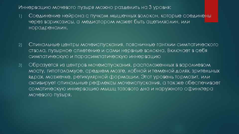 Иннервацию мочевого пузыря можно разделить на 3 уровня: 1) Соединение нейрона с пучком мышечных