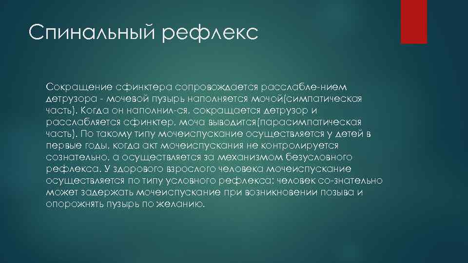 Спинальный рефлекс Сокращение сфинктера сопровождается расслабле нием детрузора мочевой пузырь наполняется мочой(симпатическая часть). Когда