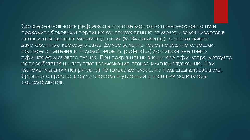 Эфферентная часть рефлекса в составе корково спинномозгового пути проходит в боковых и передних канатиках