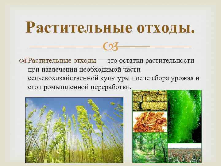 Растительные отходы — это остатки растительности при извлечении необходимой части сельскохозяйственной культуры после сбора