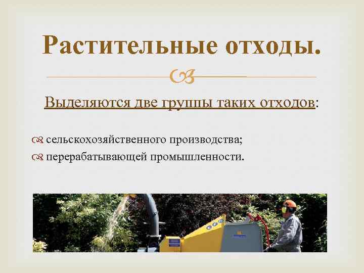 Растительные отходы. Выделяются две группы таких отходов: сельскохозяйственного производства; перерабатывающей промышленности. 