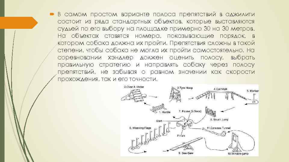  В самом простом варианте полоса препятствий в аджилити состоит из ряда стандартных объектов,