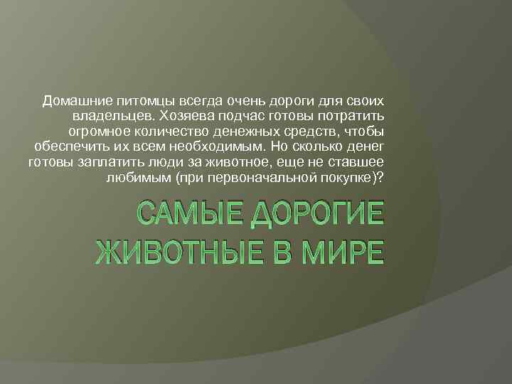 Домашние питомцы всегда очень дороги для своих владельцев. Хозяева подчас готовы потратить огромное количество