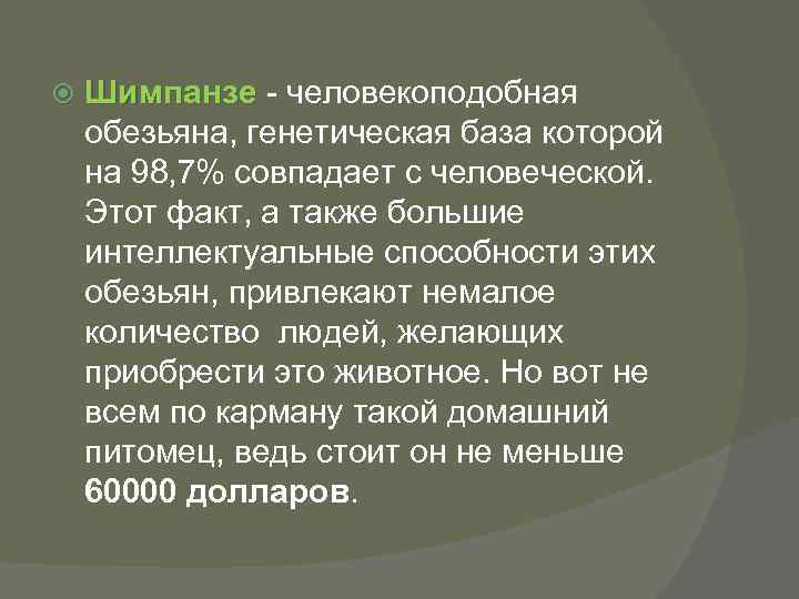  Шимпанзе - человекоподобная обезьяна, генетическая база которой на 98, 7% совпадает с человеческой.