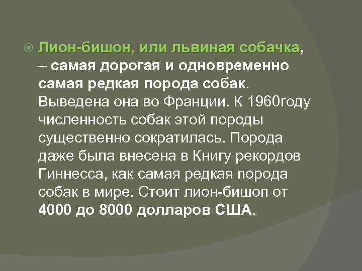 Лион-бишон, или львиная собачка, собачка – самая дорогая и одновременно самая редкая порода