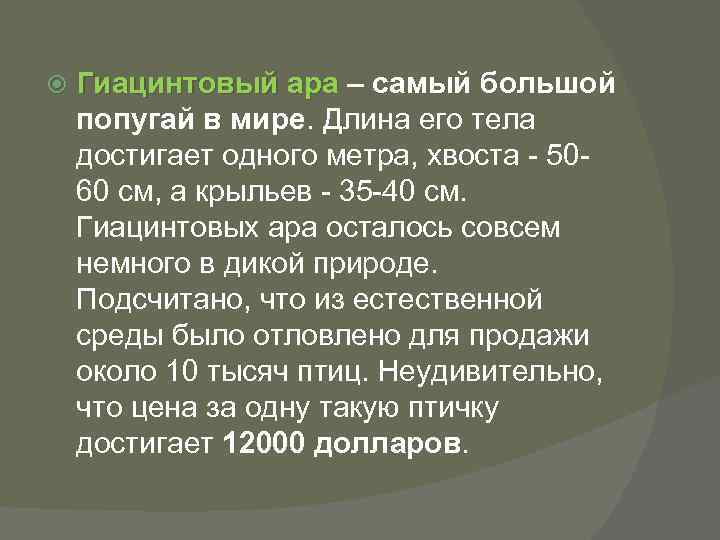  Гиацинтовый ара – самый большой попугай в мире. Длина его тела достигает одного