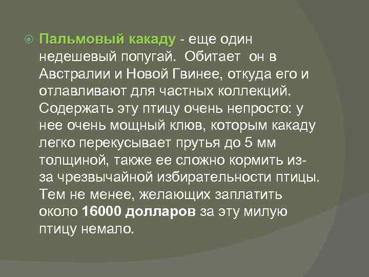  Пальмовый какаду - еще один недешевый попугай. Обитает он в Австралии и Новой