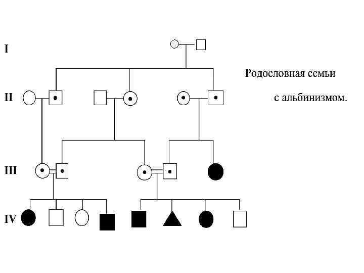 Схема родословной семьи