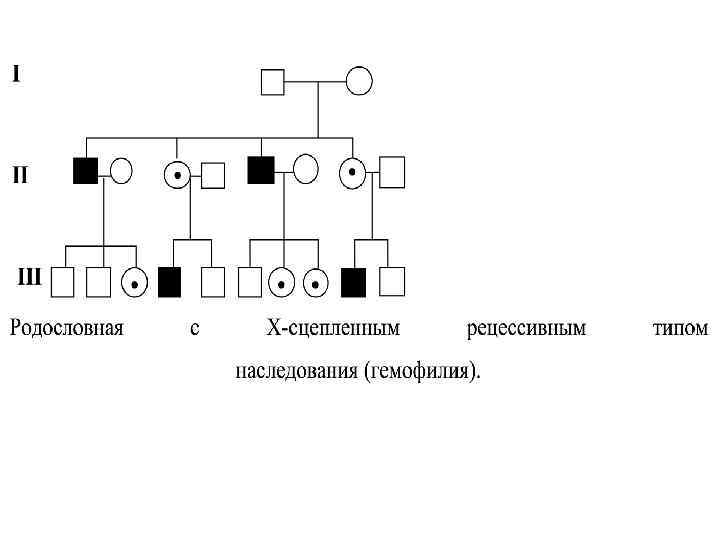 Родословная генетика с гемофилией. Родословная аутосомно рецессивный. Родословная с аутосомно-рецессивным типом наследования. Х-сцепленное рецессивное наследование схема.