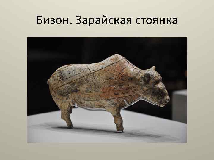 Бизон. Зарайская стоянка 