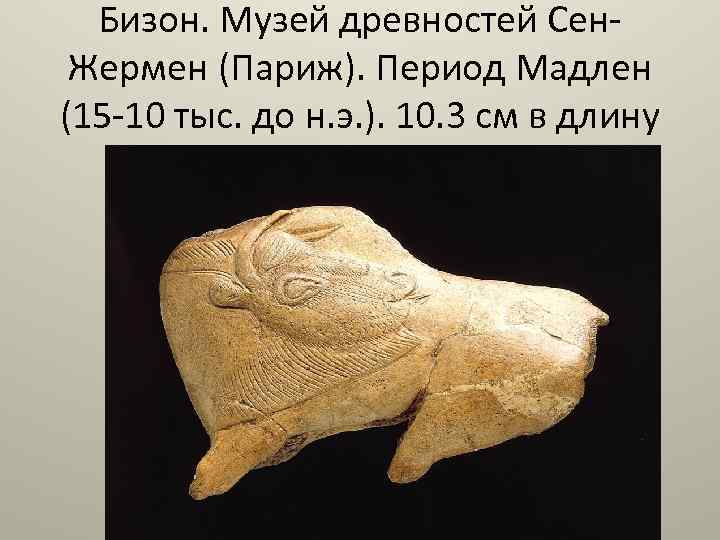 Бизон. Музей древностей Сен. Жермен (Париж). Период Мадлен (15 -10 тыс. до н. э.