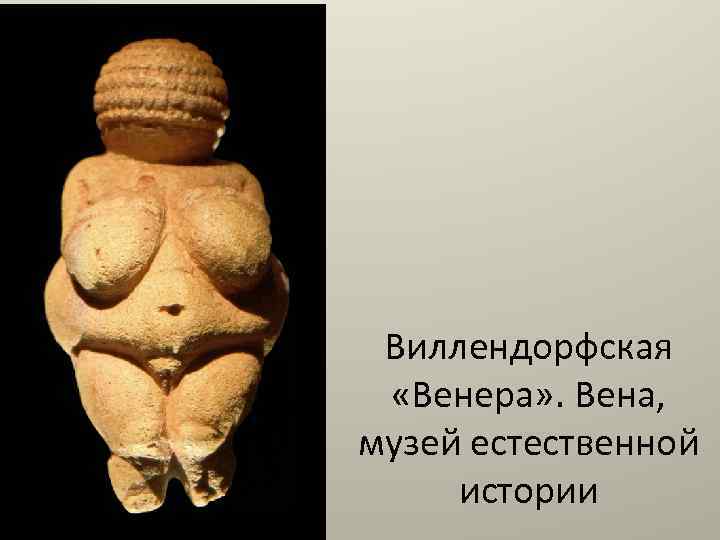 Виллендорфская «Венера» . Вена, музей естественной истории 