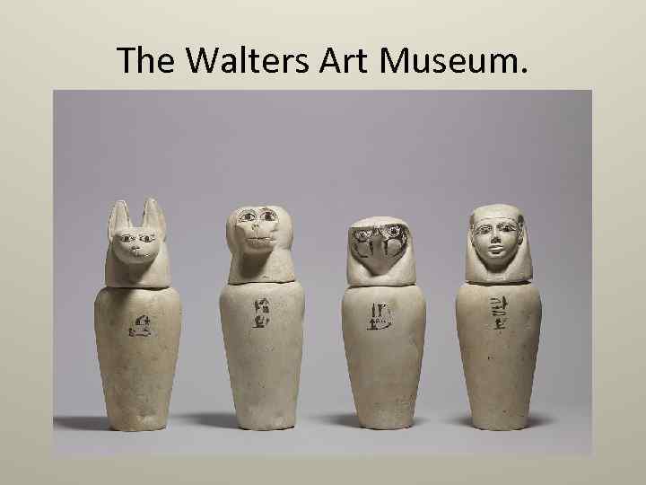 The Walters Art Museum. 