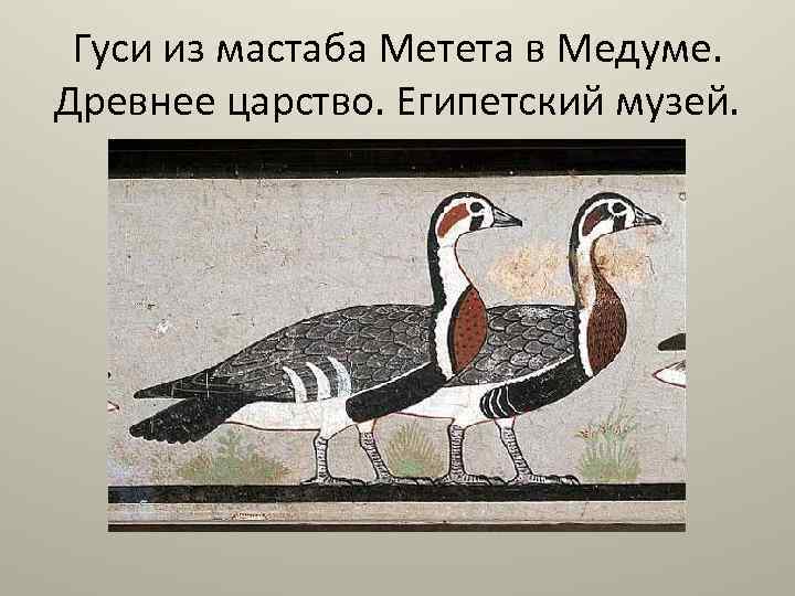 Гуси из мастаба Метета в Медуме. Древнее царство. Египетский музей. 