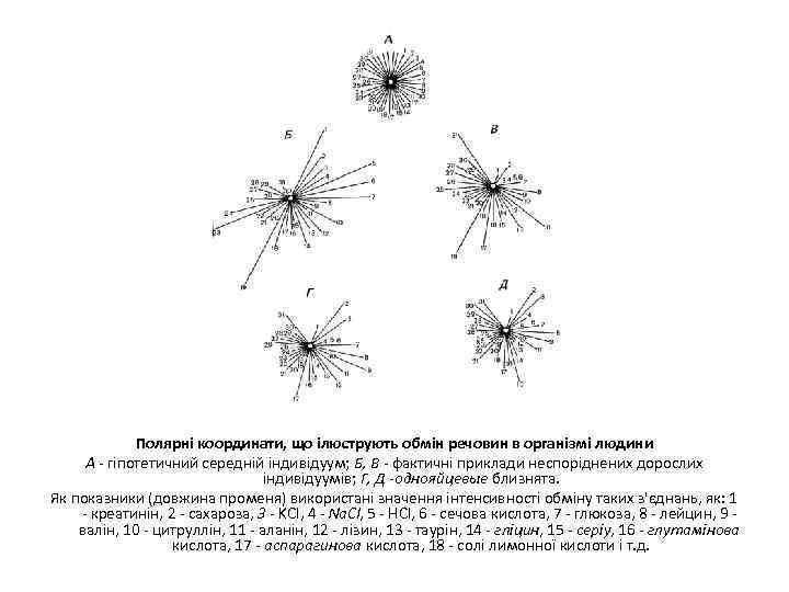 Полярні координати, що ілюструють обмін речовин в організмі людини А - гіпотетичний середній індивідуум;