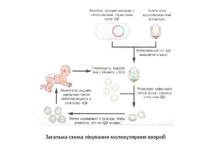 Загальна схема лікування молекулярних хвороб 