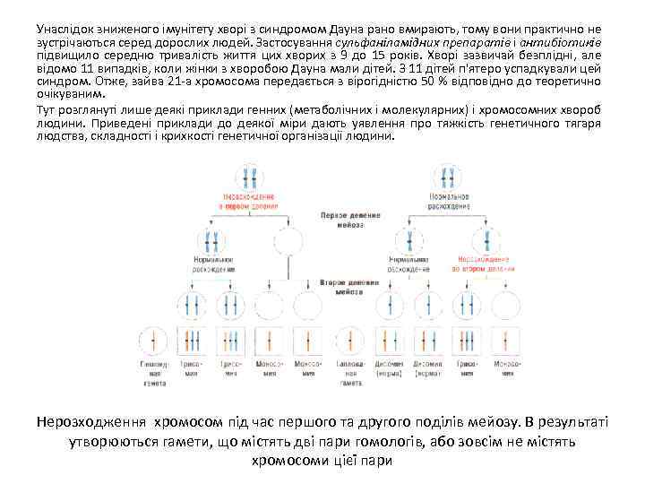 Унаслідок зниженого імунітету хворі з синдромом Дауна рано вмирають, тому вони практично не зустрічаються