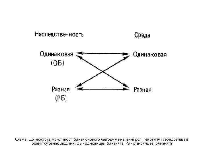 Схема, що ілюструє можливості близнюкового методу у вивченні ролі генотипу і середовища в розвитку