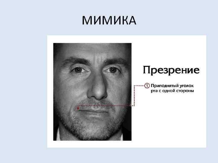 МИМИКА 