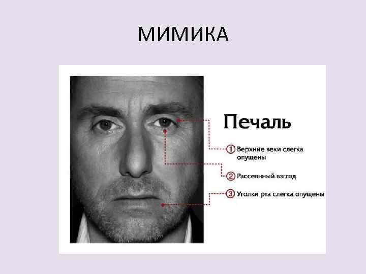 МИМИКА 