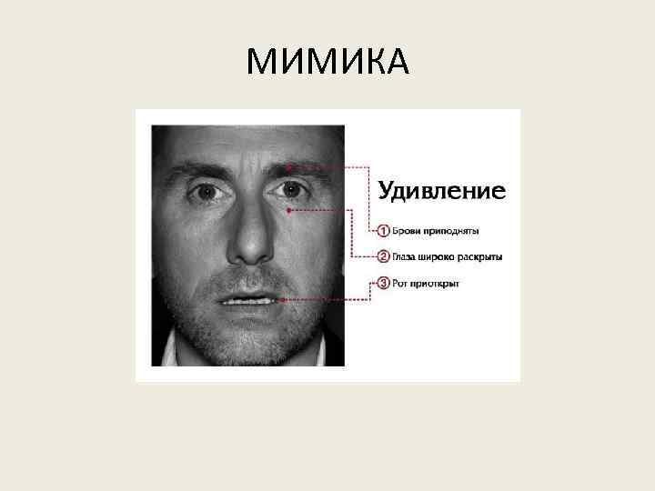 МИМИКА 