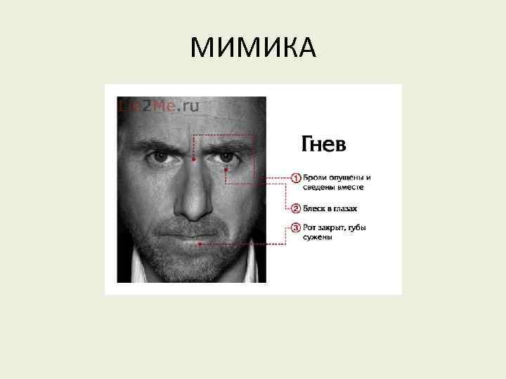 МИМИКА 