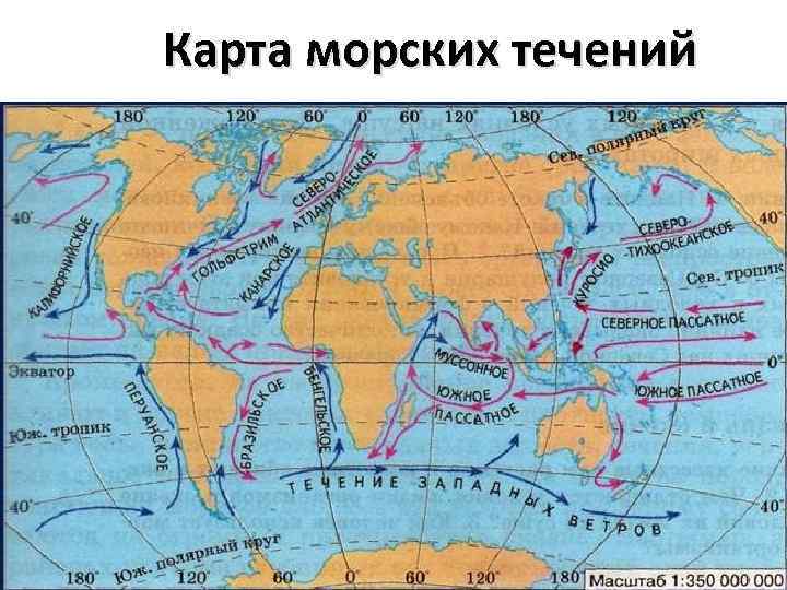 Карта морских течений 