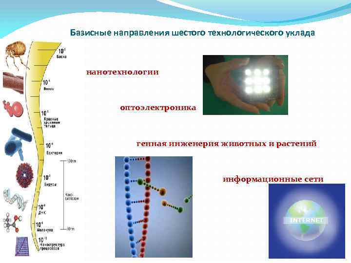 Базисные направления шестого технологического уклада нанотехнологии оптоэлектроника генная инженерия животных и растений информационные сети