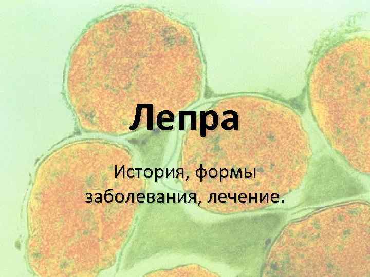 Лепра История, формы заболевания, лечение. 