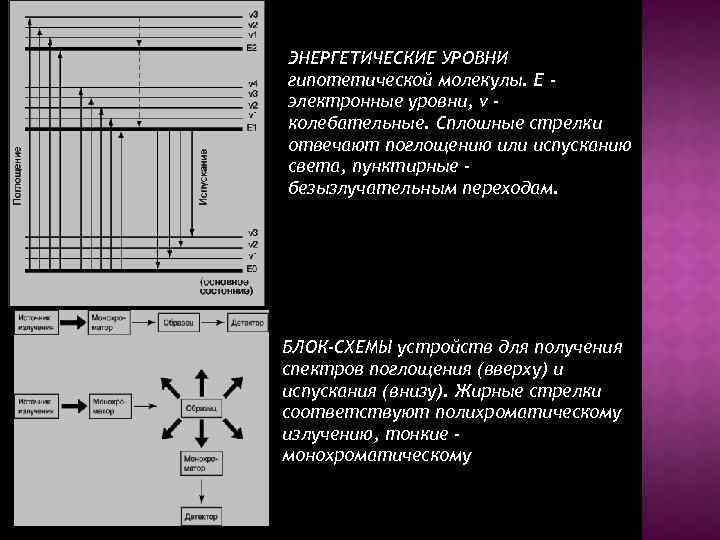 ЭНЕРГЕТИЧЕСКИЕ УРОВНИ гипотетической молекулы. E электронные уровни, v колебательные. Сплошные стрелки отвечают поглощению или