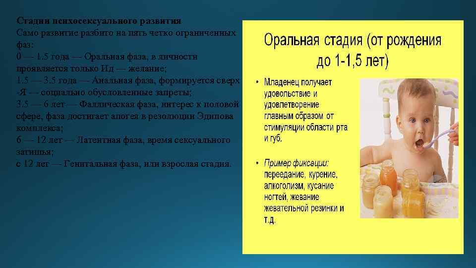 Стадии психосексуального развития Само развитие разбито на пять четко ограниченных фаз: 0 — 1.