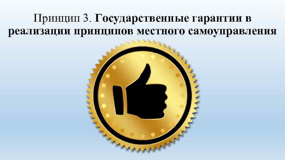 Принцип 3. Государственные гарантии в реализации принципов местного самоуправления 