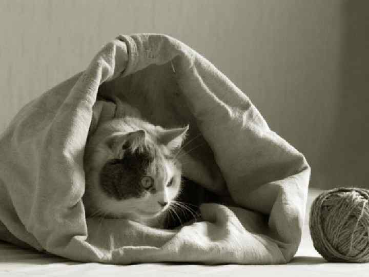 Тут должно быть видео Принцип, широко используемый во второй половине ХХ века в микропроцессорах