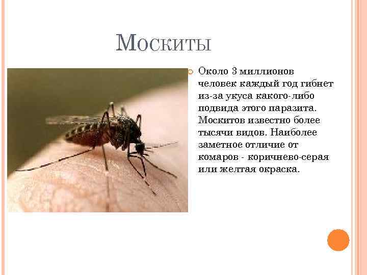 МОСКИТЫ Около 3 миллионов человек каждый год гибнет из-за укуса какого-либо подвида этого паразита.