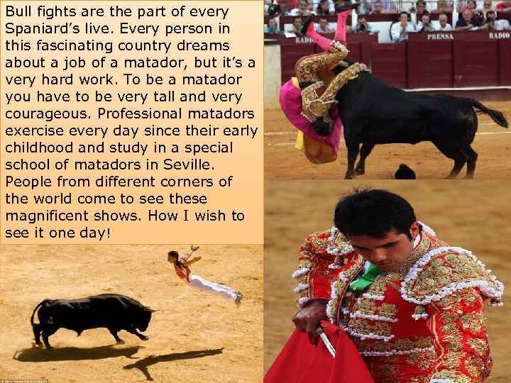 Bull fights are the part of every Spaniard’s live. Every person in this fascinating