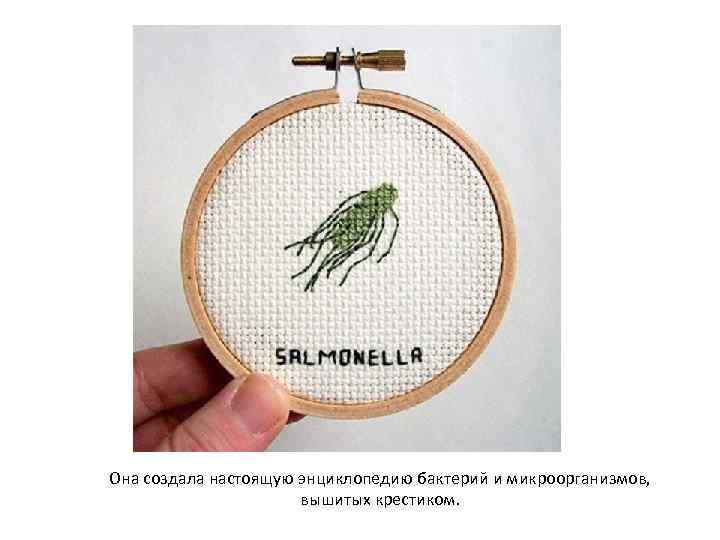 Она создала настоящую энциклопедию бактерий и микроорганизмов, вышитых крестиком. 