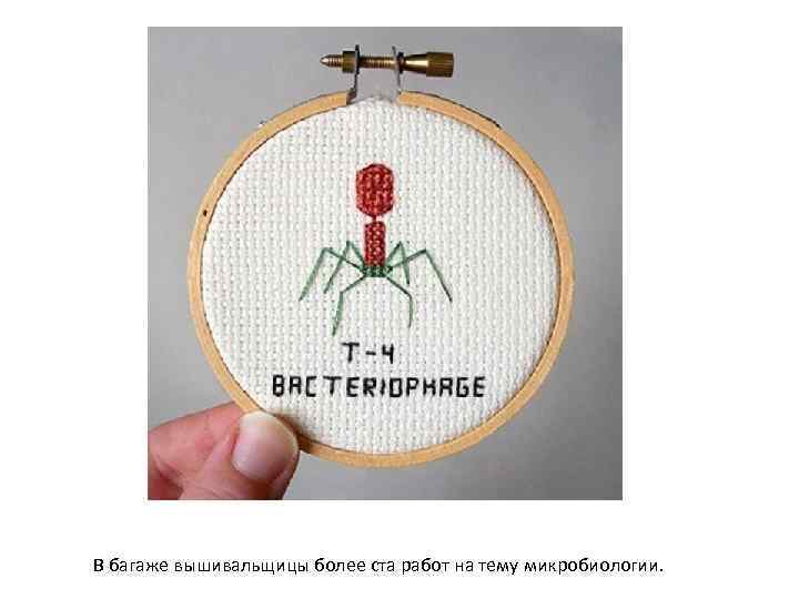 В багаже вышивальщицы более ста работ на тему микробиологии. 
