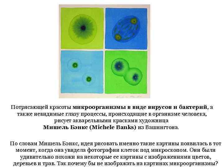 Потрясающей красоты микроорганизмы в виде вирусов и бактерий, а также невидимые глазу процессы, происходящие