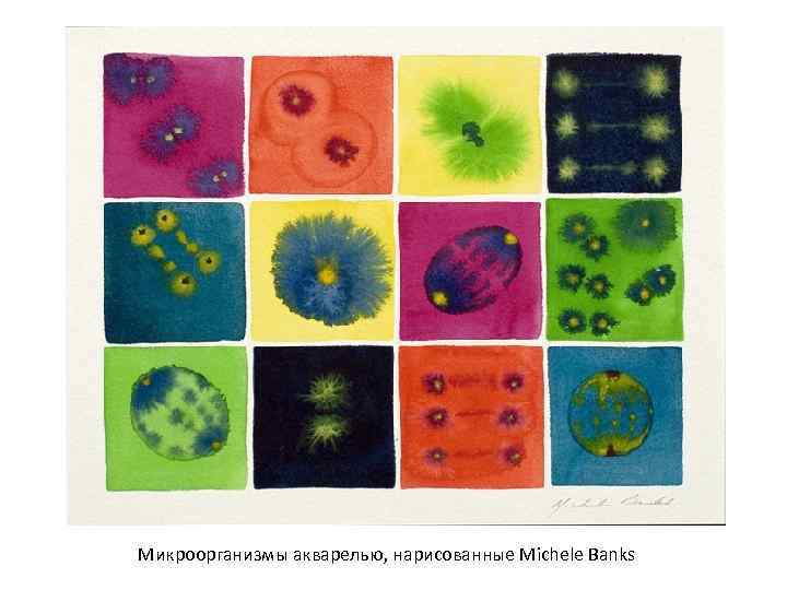 Микроорганизмы акварелью, нарисованные Michele Banks 
