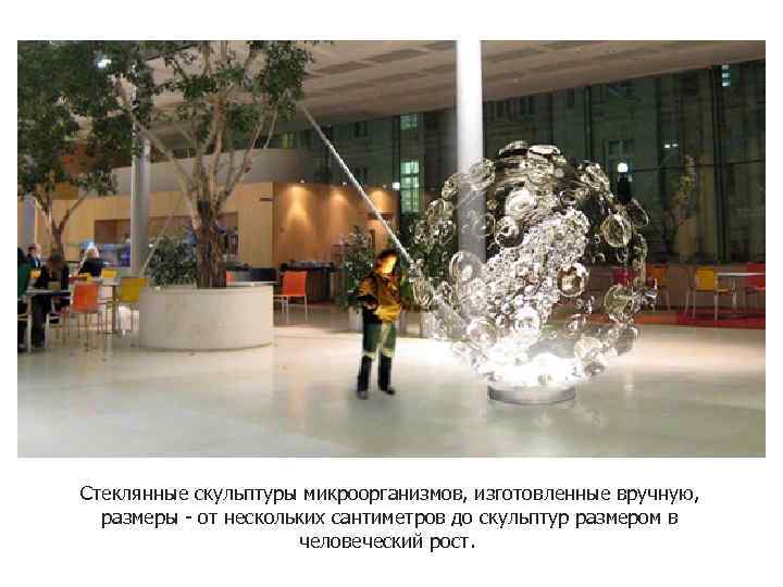 Стеклянные скульптуры микроорганизмов, изготовленные вручную, размеры - от нескольких сантиметров до скульптур размером в