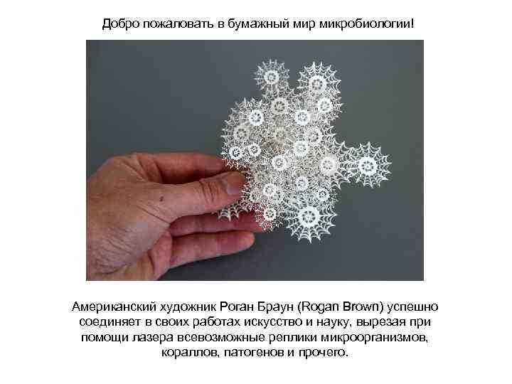 Добро пожаловать в бумажный мир микробиологии! Американский художник Роган Браун (Rogan Brown) успешно соединяет