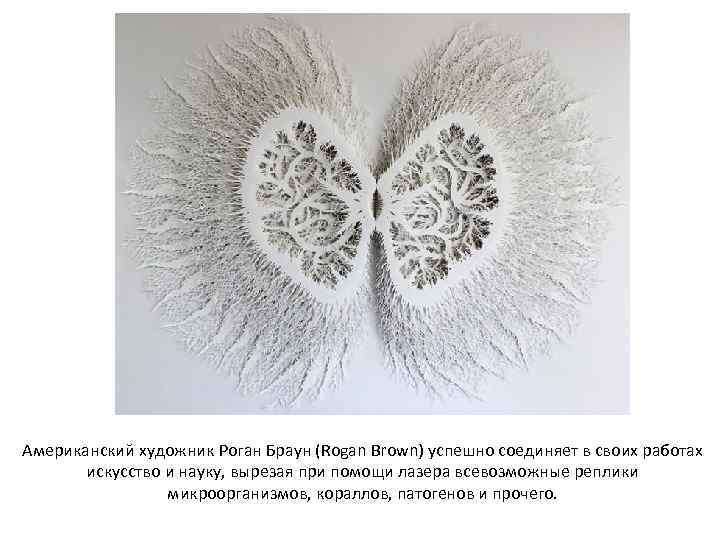 Американский художник Роган Браун (Rogan Brown) успешно соединяет в своих работах искусство и науку,