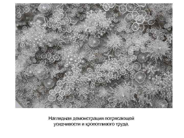 Наглядная демонстрация потрясающей усидчивости и кропотливого труда. 