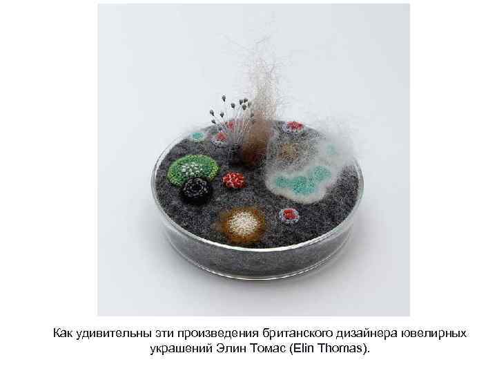 Как удивительны эти произведения британского дизайнера ювелирных украшений Элин Томас (Elin Thomas). 